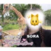 ヒメ日記 2026/07/18 21:11 投稿 そら★高リピ◎女子アナ系美女★ Bell～S級美女お姉様・人妻デリヘル～