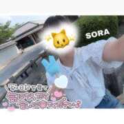 ヒメ日記 2026/08/02 21:20 投稿 そら★高リピ◎女子アナ系美女★ Bell～S級美女お姉様・人妻デリヘル～