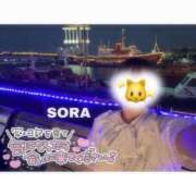 ヒメ日記 2026/08/03 17:30 投稿 そら★高リピ◎女子アナ系美女★ Bell～S級美女お姉様・人妻デリヘル～