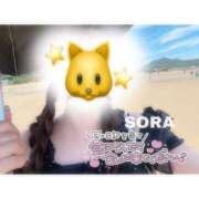 ヒメ日記 2026/08/15 16:08 投稿 そら★高リピ◎女子アナ系美女★ Bell～S級美女お姉様・人妻デリヘル～