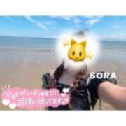 ヒメ日記 2026/08/15 19:23 投稿 そら★高リピ◎女子アナ系美女★ Bell～S級美女お姉様・人妻デリヘル～