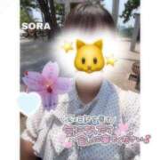 ヒメ日記 2026/09/12 16:18 投稿 そら★高リピ◎女子アナ系美女★ Bell～S級美女お姉様・人妻デリヘル～