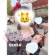 ヒメ日記 2026/09/13 16:22 投稿 そら★高リピ◎女子アナ系美女★ Bell～S級美女お姉様・人妻デリヘル～