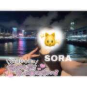 ヒメ日記 2026/10/04 21:31 投稿 そら★高リピ◎女子アナ系美女★ Bell～S級美女お姉様・人妻デリヘル～