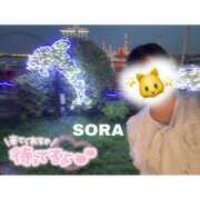 ヒメ日記 2026/10/24 22:06 投稿 そら★高リピ◎女子アナ系美女★ Bell～S級美女お姉様・人妻デリヘル～
