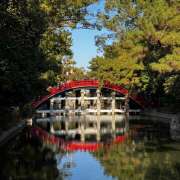 ヒメ日記 2025/01/08 11:19 投稿 さえ ラブ＆ナース