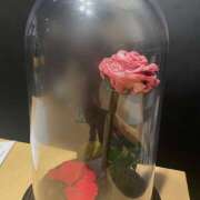 ヒメ日記 2025/11/18 23:12 投稿 さえ ラブ＆ナース