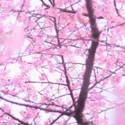 ヒメ日記 2026/03/31 21:26 投稿 さえ ラブ＆ナース