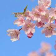 ヒメ日記 2026/04/03 23:36 投稿 さえ ラブ＆ナース