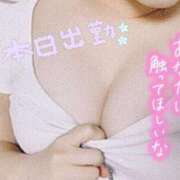 ヒメ日記 2025/01/28 12:09 投稿 りお 香川高松ちゃんこ