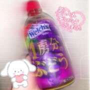 ヒメ日記 2025/02/03 17:49 投稿 りお 香川高松ちゃんこ