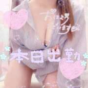 ヒメ日記 2025/02/11 12:59 投稿 りお 香川高松ちゃんこ