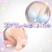 ヒメ日記 2025/03/08 17:38 投稿 りお 香川高松ちゃんこ