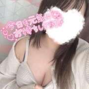 ヒメ日記 2025/03/24 16:59 投稿 りお 香川高松ちゃんこ