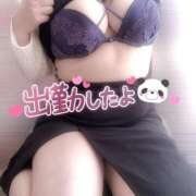 ヒメ日記 2025/04/08 15:19 投稿 りお 香川高松ちゃんこ