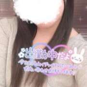 ヒメ日記 2025/04/14 20:39 投稿 りお 香川高松ちゃんこ