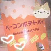 ヒメ日記 2025/04/15 12:19 投稿 りお 香川高松ちゃんこ