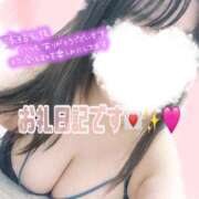 ヒメ日記 2025/04/16 21:13 投稿 りお 香川高松ちゃんこ