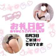 ヒメ日記 2025/06/04 14:19 投稿 りお 香川高松ちゃんこ