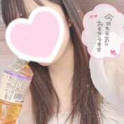 ヒメ日記 2025/06/13 13:45 投稿 りお 香川高松ちゃんこ