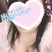 ヒメ日記 2025/06/26 15:29 投稿 りお 香川高松ちゃんこ