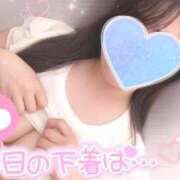 ヒメ日記 2025/07/15 17:03 投稿 りお 香川高松ちゃんこ