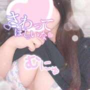 ヒメ日記 2025/08/12 13:29 投稿 りお 香川高松ちゃんこ