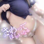 ヒメ日記 2025/08/15 11:59 投稿 りお 香川高松ちゃんこ