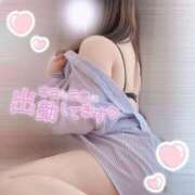 ヒメ日記 2025/08/21 13:49 投稿 りお 香川高松ちゃんこ