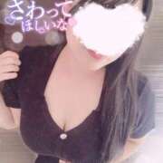 ヒメ日記 2025/09/25 13:49 投稿 りお 香川高松ちゃんこ