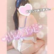 ヒメ日記 2025/11/07 15:49 投稿 りお 香川高松ちゃんこ