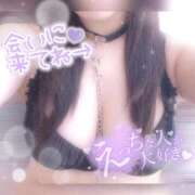 ヒメ日記 2025/11/14 16:49 投稿 りお 香川高松ちゃんこ