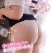 ヒメ日記 2025/11/14 22:36 投稿 りお 香川高松ちゃんこ