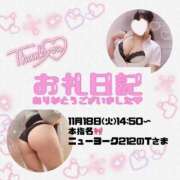 ヒメ日記 2025/11/18 18:10 投稿 りお 香川高松ちゃんこ