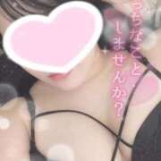 ヒメ日記 2025/11/20 13:29 投稿 りお 香川高松ちゃんこ