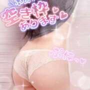 ヒメ日記 2025/11/25 15:49 投稿 りお 香川高松ちゃんこ