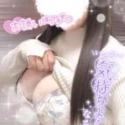 ヒメ日記 2025/11/26 13:39 投稿 りお 香川高松ちゃんこ