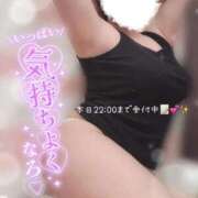 ヒメ日記 2025/12/11 15:39 投稿 りお 香川高松ちゃんこ