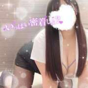 ヒメ日記 2025/12/15 14:19 投稿 りお 香川高松ちゃんこ