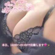 ヒメ日記 2025/12/16 11:09 投稿 りお 香川高松ちゃんこ