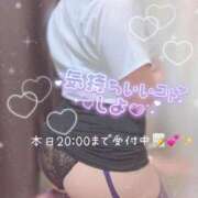 ヒメ日記 2025/12/20 17:09 投稿 りお 香川高松ちゃんこ