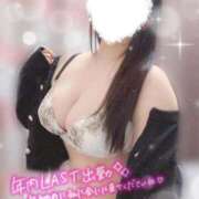 ヒメ日記 2025/12/31 09:59 投稿 りお 香川高松ちゃんこ