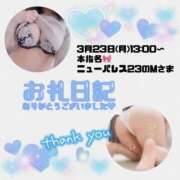 ヒメ日記 2026/03/28 04:19 投稿 りお 香川高松ちゃんこ