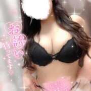 ヒメ日記 2026/03/28 15:23 投稿 りお 香川高松ちゃんこ