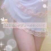 ヒメ日記 2026/04/24 08:19 投稿 りお 香川高松ちゃんこ