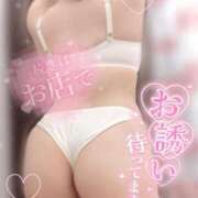 ヒメ日記 2026/08/17 18:29 投稿 りお 香川高松ちゃんこ