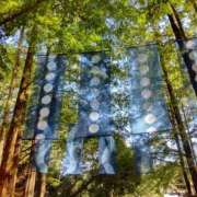 ヒメ日記 2024/12/17 22:18 投稿 広瀬(ひろせ) 相模原人妻城