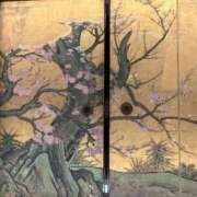 ヒメ日記 2025/03/22 10:48 投稿 広瀬(ひろせ) 相模原人妻城