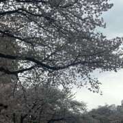 ヒメ日記 2025/04/14 20:33 投稿 広瀬(ひろせ) 相模原人妻城