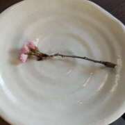 ヒメ日記 2025/04/18 19:33 投稿 広瀬(ひろせ) 相模原人妻城